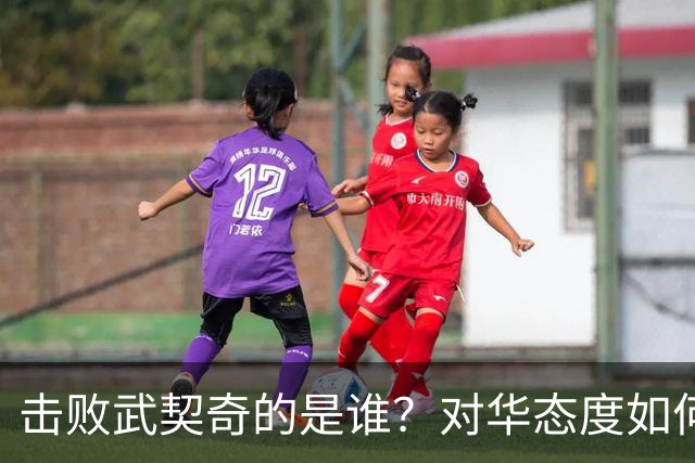 击败武契奇的是谁？对华态度如何？下一步中塞关系怎么走？