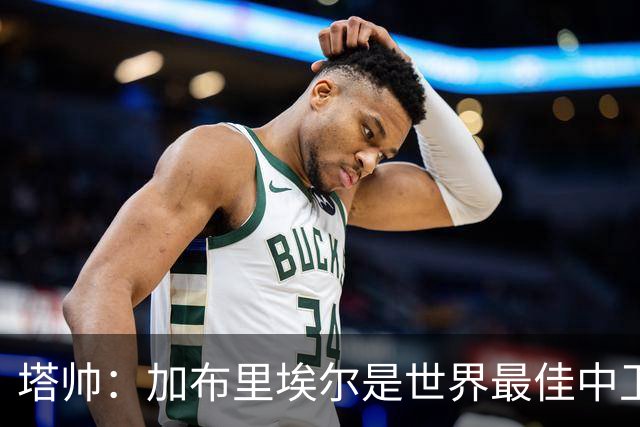 塔帅：加布里埃尔是世界最佳中卫之一，他在两个禁区的作用太强了
