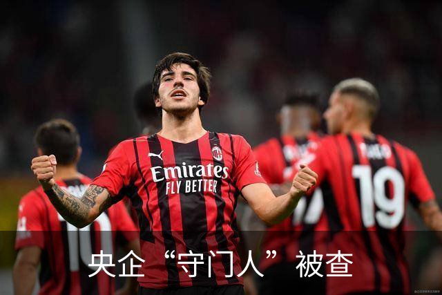 央企“守门人”被查