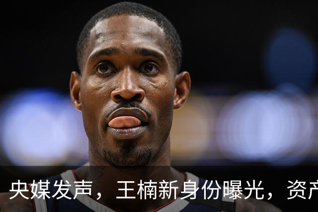 央媒发声，王楠新身份曝光，资产查封被带走调查传闻背后另有隐情
