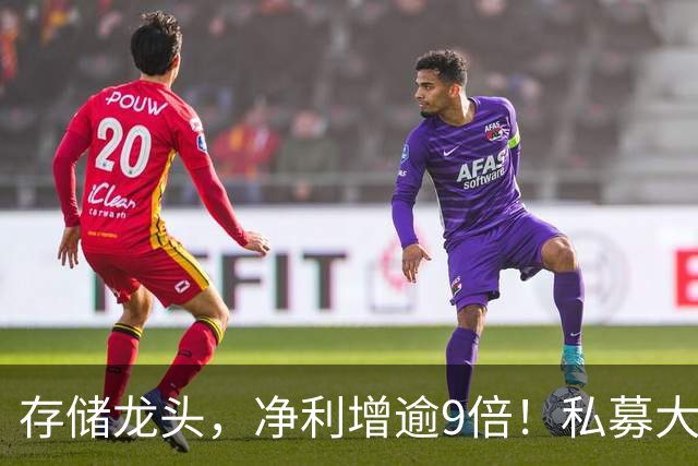 存储龙头，净利增逾9倍！私募大佬重仓未动