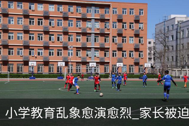 小学教育乱象愈演愈烈 家长被迫负重前行 纯粹义务教育早已偏离初心