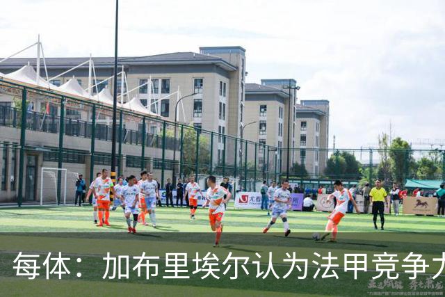每体：加布里埃尔认为法甲竞争力较低，不利于他的未来发展