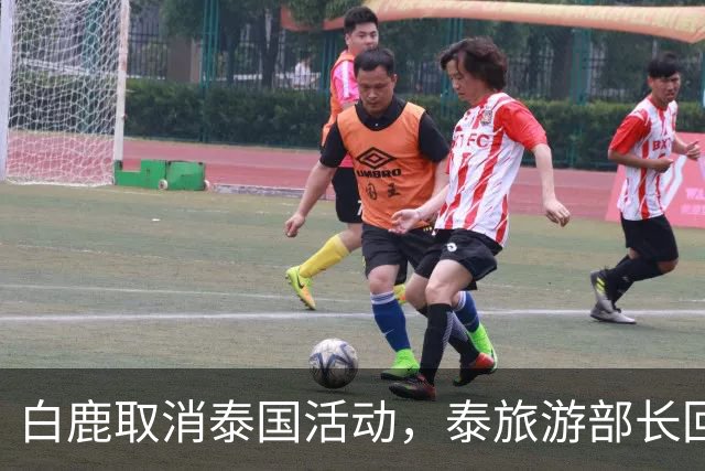 白鹿取消泰国活动，泰旅游部长回应惹争议