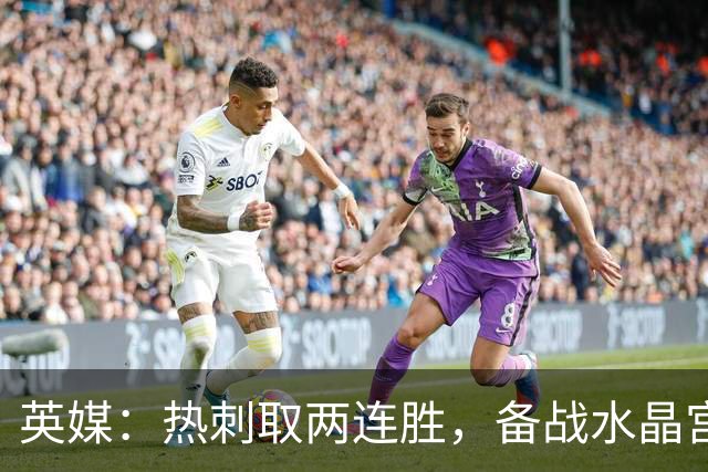 英媒：热刺取两连胜，备战水晶宫占先机