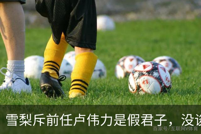 雪梨斥前任卢伟力是假君子，没谈恋爱就被要求睡一晚，被按头不满