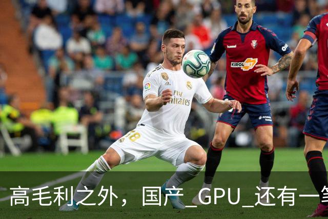 高毛利之外，国产 GPU 还有一笔 “软件账”